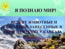 Проект: Я познаю мир. Редкие животные и растения, занесённые в Красную книгу Кавказа