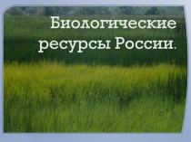 Презентация Биологические ресурсы России