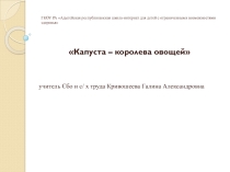 Презентация по с/х труду на тему Капуста - королева овощей (7 класс)