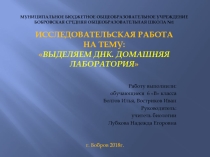 Презентация исследовательского проекта по биологии на темуДНК из банана 6 кл.