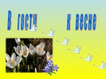 Презентация В гости к весне