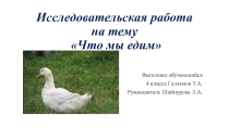 Презентация обучающегося Что мы едим