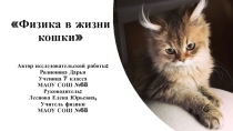 Исследовательская работа по физике Физика в жизни кошки