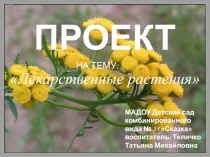 ПРОЕКТ Лекарственные растения Башкирии