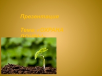 Презентация по окружающему миру по теме Охрана почв