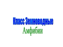Презентация к уроку Класс земноводные. Особенности внешнего строения