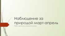 Презентация по биологии на тему Птицы нашего края