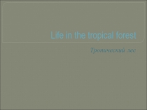 Разработка урока по английскому языку на темуТropical forest 7 класс