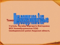 Презентация по окружающему миру. Дикие животные. (2класс)