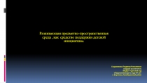 Презентация. Развивающая предметно-пространственная среда детского сада как средство поддержки детской инициативы.