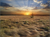 Презентация Люди в степи