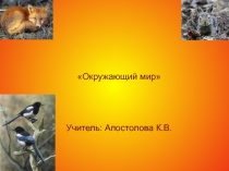 Презентация по окружающему миру на тему размножение и развитие животных