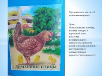 Лепбук на тему Домашние птицы