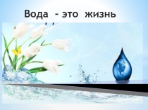 Презентация по русскому языку и литературе в 8 классе. с нерусским языком обучения по теме Вода-это жизнь