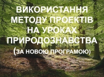 Як облаштувати джерело