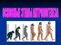 Презентация к уроку Антропогенез