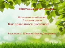 Презентация исследовательский проект Как появляются листочки? 2 младшая группа