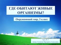 Презентация по окружающему миру 3 класс