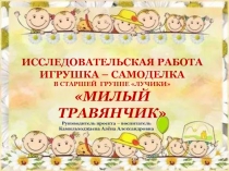 Презентация исследовательская работа игрушка - самоделка в старшей группе Милый Травянчик