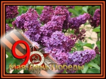 Презентация к открытому классному часу Победный праздник весны