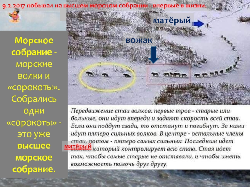 10 метров изобата. Безопасная глубина где морская волна переходит в прибой. Другие эффективные методы Практической остойчивости от древних мореходов.10 метров изобата. Безопасная глубина где морская волна переходит в прибой. Другие эффективные методы Прак Инициация морских волковRevision:Морское собрание - морские волки и «сорокоты». Собралисьодни «сорокоты» Инициация морских волковRevision:Морское собрание - морские волки и «сорокоты». Собралисьодни «сорокоты» -это уже высшее морское собрание.матёрыйвожакматёрый9.2.2017 побывал