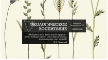 Отчёт по проделанной работе на тему: Экологическое воспитание дошкольников