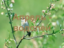 Презентация по окружающему миру на тему: Апрель-водолей