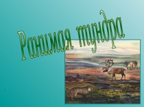 Презентация по окружающему миру на тему Ранимая тундра(4 класс)