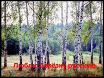 Презентация Люблю березку русскую!!!