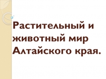 Презентация по Окружающему миру на тему : Растительный и животный мир Алтайского края