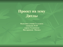 Проект по биологии  Дятлы
