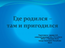 Презентация к классному часу в 10 классе Где родился – там и пригодился