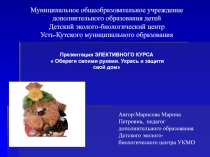 Презентация элективного курса Обереги. Укрась и защити свой дом