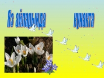 Презенация по экологии Яз