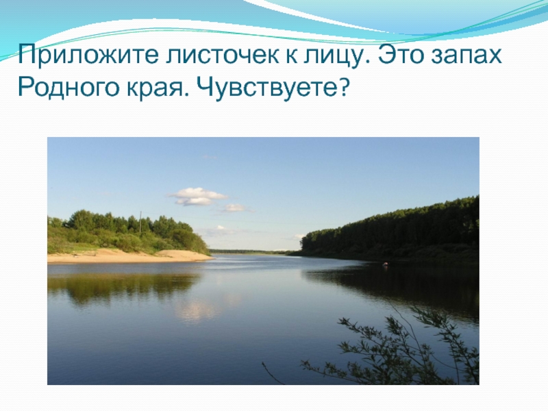 Презентация к 80-летию Ростовской области + аннотация к презентации Приложите листочек к лицу. Это запах Родного края. Чувствуете? Приложите листочек к лицу. Это запах Родного края. Чувствуете?