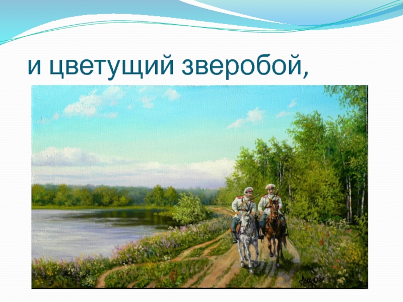 Презентация к 80-летию Ростовской области + аннотация к презентации и цветущий зверобой, и цветущий зверобой,
