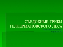 Съедобные грибы Теллермановского леса