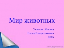 Презентация по окр миру на тему Мир животных