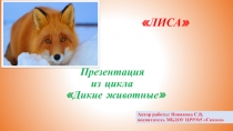 Презентация из цикла дикие животные