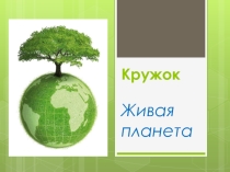 Презентация Кружок Живая планета 1-4 кл (для родителей)
