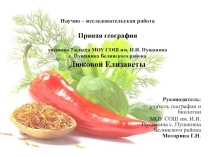 Презентация к выступлению на НПК