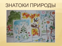 Презентация по окружающему миру,3 класс