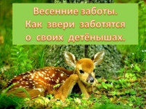 Презентация к уроку по окружающему миру 3 класс Как звери воспитывают своих детенышей