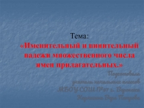 Имена прилагательные