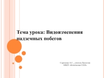Презентация по теме Видоизменение наземных побегов 6 класс