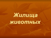 Презентация по познанию мира на тему Норы животных (4 класс)