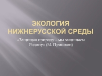 Исследовательская работа: Экология Нижнерусской среды