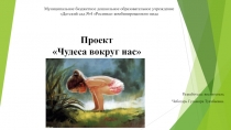 Презентация Проект Чудеса вокруг нас