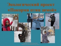 Экологический проект Покорми птиц зимой