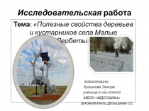 Презентация Полезные свойства деревьев и кустарников села Малые Дербеты
